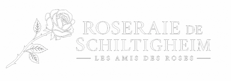 Roseraie de Schiltigheim